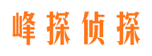 静乐市调查公司